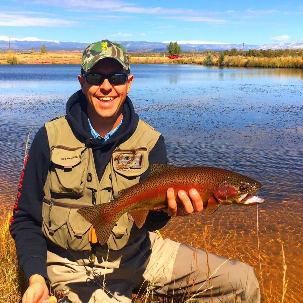 Meet your Posher, Dave